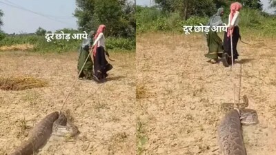 अजगर को डोरी में बांध खींचने लगी महिलाएं(फोटो: Instagram-@dharmbai_dholpur)