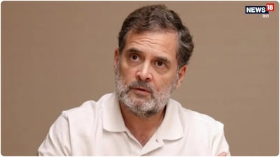 Rahul Gandhi will top list of liars: BJP asks if Congress is protecting fake voters