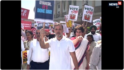 बीजेपी ने राहुल गांधी पर वोट चोरी को लेकर राजनीति करने का आरोप लगाया. (पीटीआई)