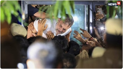 बीजेपी ने विरोध-प्रदर्शन को लेकर राहुल गांधी पर हमला बोला है. (पीटीआई)