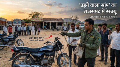 हाईवे से छलांग लगाकर बाइक तक पहुंचा सांप?(फोटो- एआई जेनरेटेड)