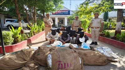 पनोतिया सोलर प्लांट डकैती का खुलासा, 7 आरोपी गिरफ्तार