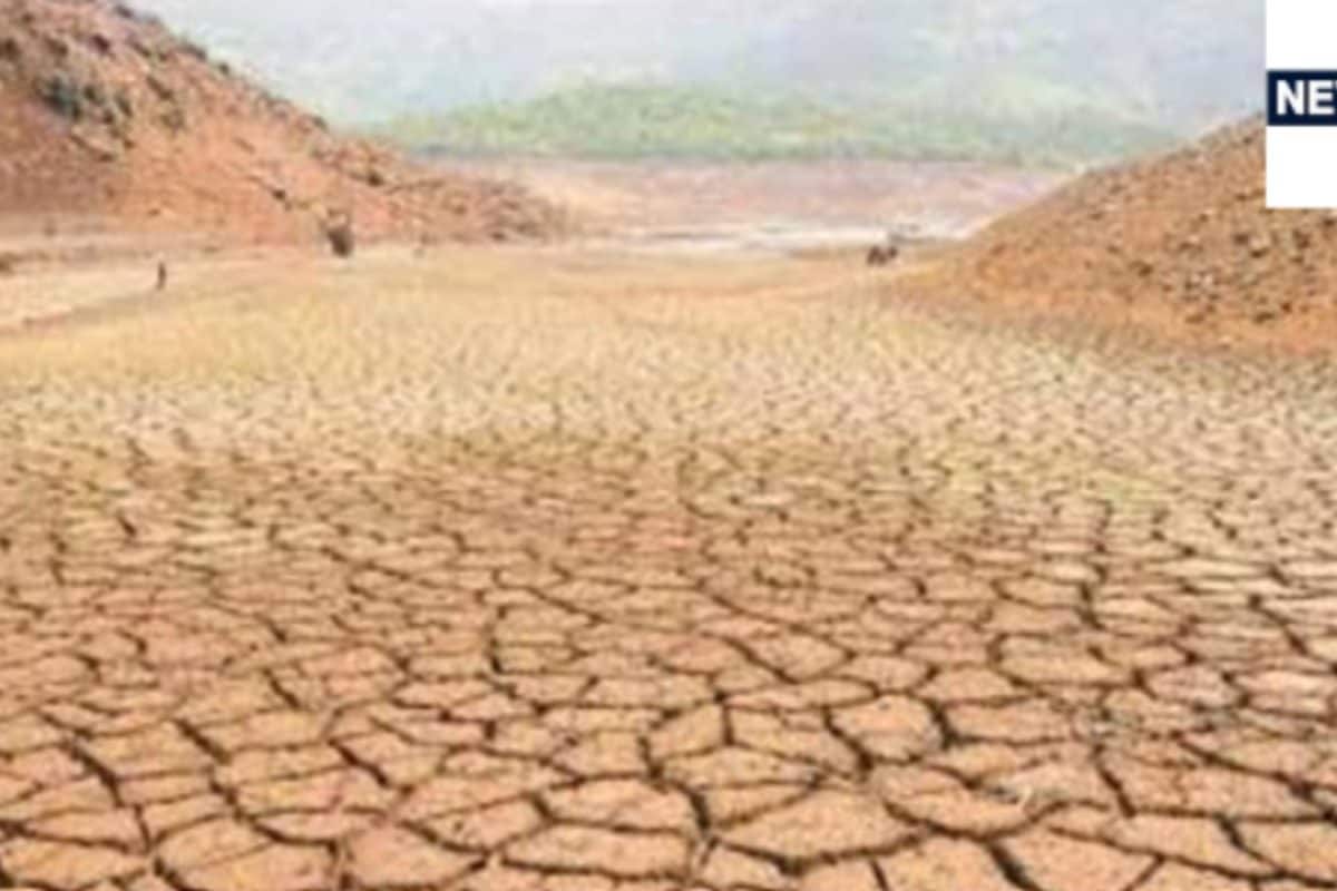राजस्थान में बारिश की कमी के कारण 14 जिलों की 80 तहसीलें अकालग्रस्त घोषित