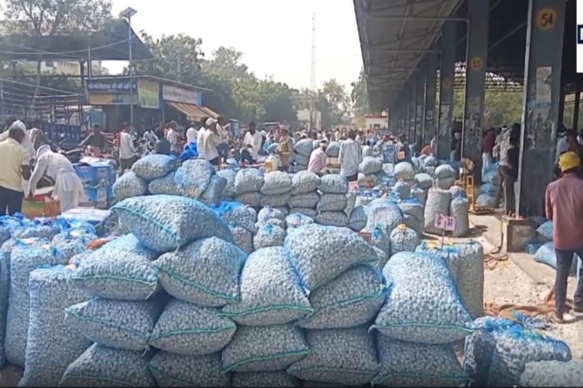 Kota Garlic Prices Surge to 22000 Rupees Per Quintal Amid Heavy Market Arrivals