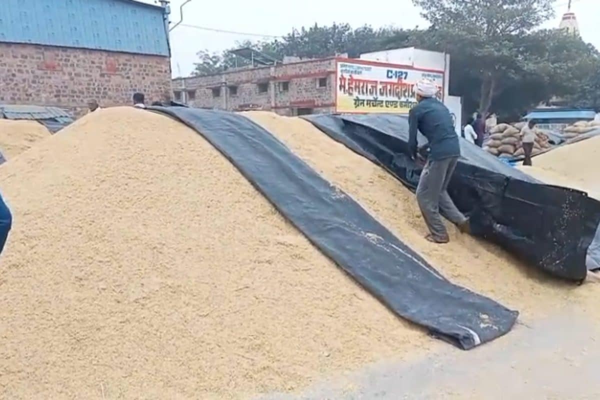 Weather Threat Looms Over Farmers' Produce as Lakhs of Sacks Lie in Open at Kota Mandi
