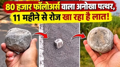 80 हजार फॉलोअर्स वाला अनोखा पत्थर(फोटो: Instagram-@stonejourney23)