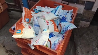 Haryana Milk Business to Close for 3 Days: Will Faridabad Supply Be Affected? Find Out.