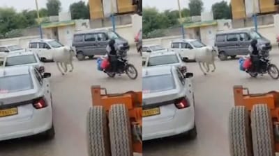 Viral Video: Cow Chases Milkman All The Way To Petrol Pump, Internet Reacts Hilariously