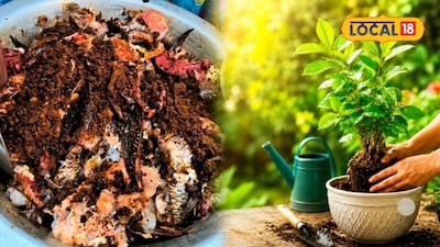 जैविक खेती को बढ़ावा देने के लिए मीनामृतम किसानों के लिए कम लागत वाला विकल्प बन रहा है