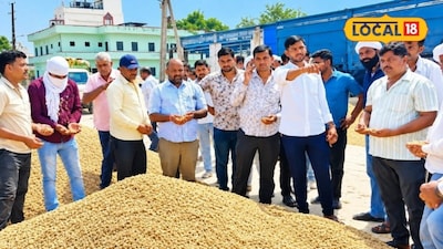 जयपुर की चौमूं अनाज मंडी में मूंगफल को 9 हजार रुपए प्रति क्विंटल तक भाव मिलने से किसान खुश