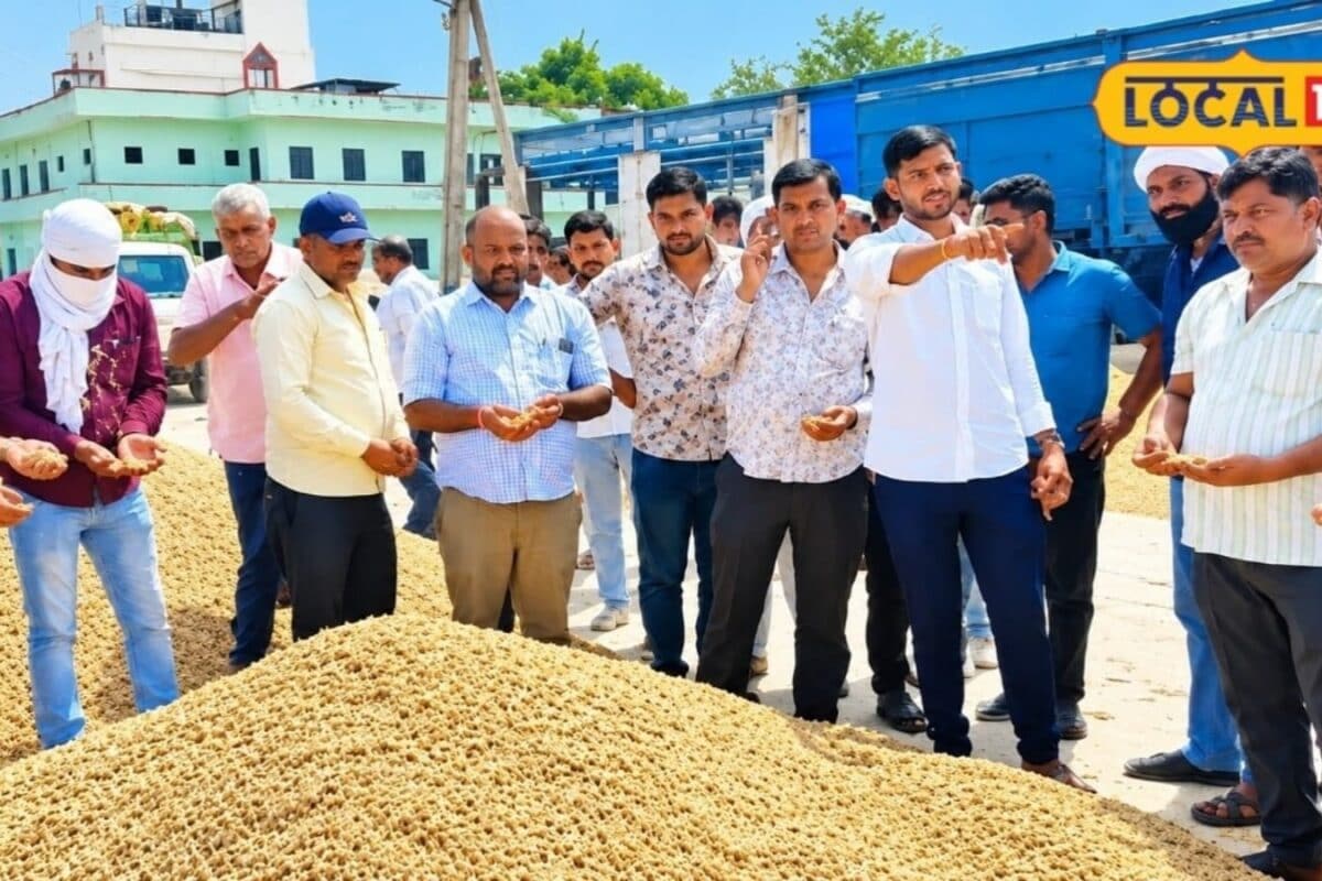 Bumper Groundnut Arrivals at Chomu Mandi Delight Farmers with Rates Reaching 9000 Rupees Per Quintal