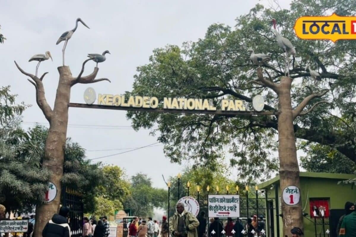 Keoladeo National Park Water Infrastructure Upgrade Approved with 18.52 Crore Funding