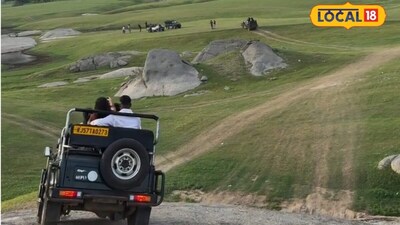पाली जिले के जवाई लेपर्ड कंजर्वेशन रिजर्व अंतरराष्ट्रीय स्तर पर अपनी पहचान बना चुका है