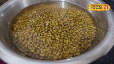 नाश्ते के लिए साबुत मूंग दाल के पराठे एक अच्छा विकल्प हो सकते हैं
