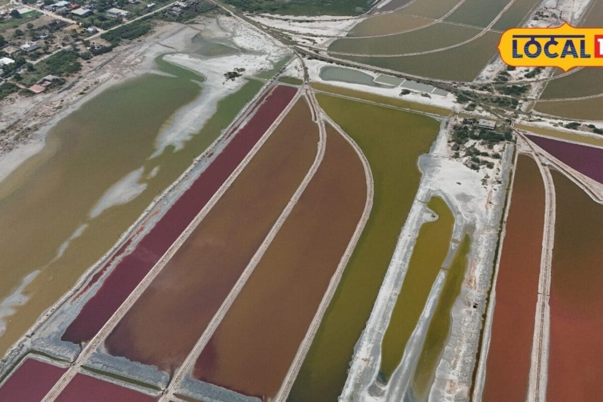 Salt Production: राजस्थान के इस इलाके में बनता है लाखों बोरी नमक, जानिए कुचामन से नावां तक कैसे चलता है कारोबार