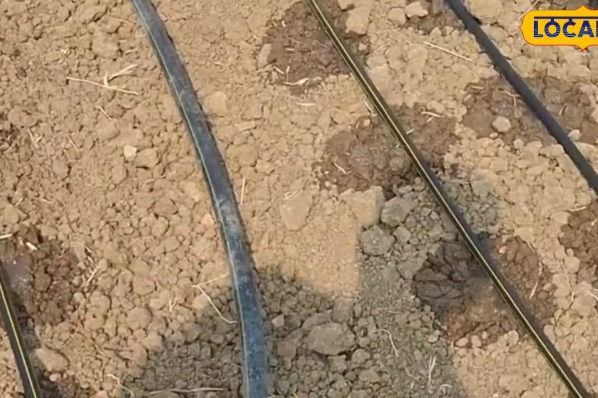 Sirohi Farmers Adopt Water-Saving Agricultural Techniques Amid Deficit Rainfall
