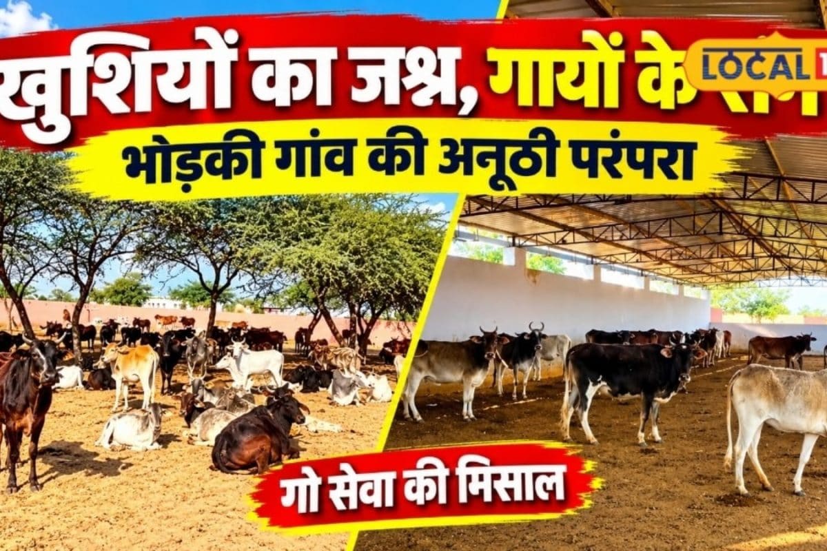 Jhunjhunu Village Redefines Celebrations by Directing Joy Toward Cow Welfare
