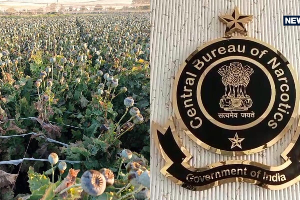 Rajasthan Opium Policy 2026-27: New Licenses Raise Hopes as Devotion Deepens