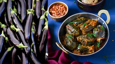 Try Dahi Baingan Masala Recipe for a Delicious Twist to Your Regular Meal.