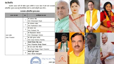 बीजेपी यूपी राज्यसभा कैंडिडेट जाति वाइज लिस्ट.