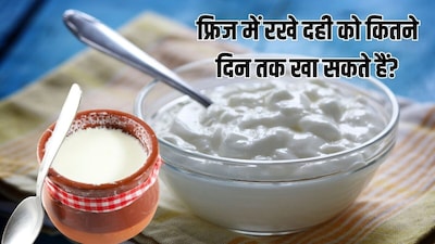 Curd Storage Tips: How to keep your curd fresh and prevent it from turning sour