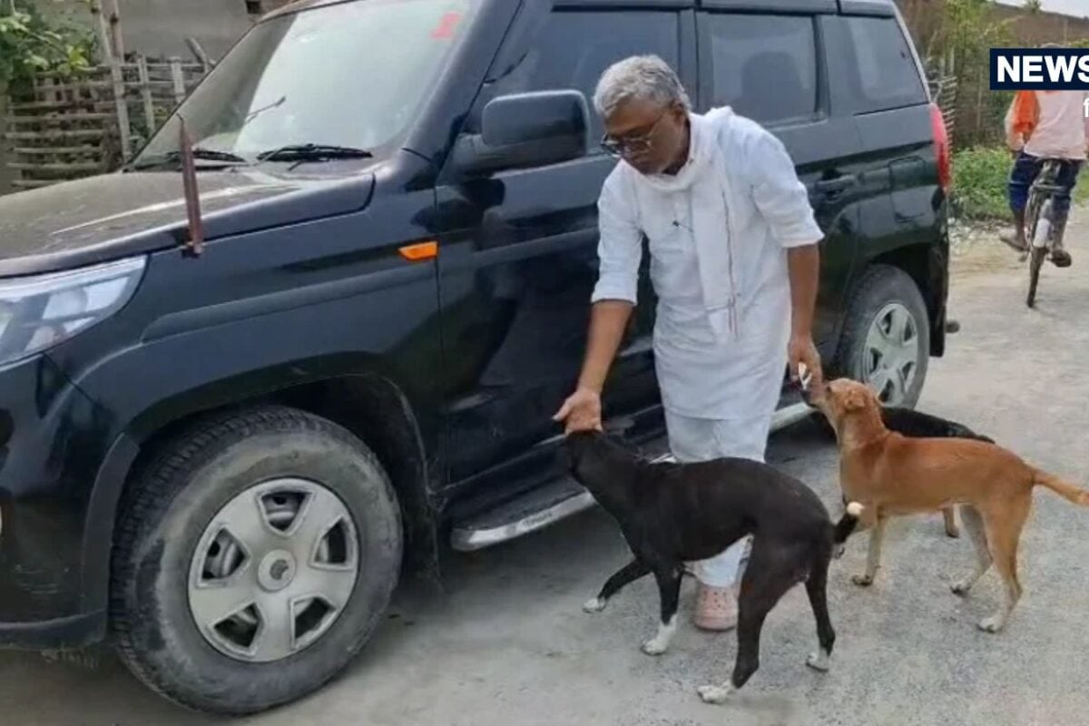 मोतिहारी के डॉक्टर का अनोखा मिशन, 150 से ज्यादा कुत्तों को दिया घर, 10 साल से कर रहे बेजुबानों सेवा