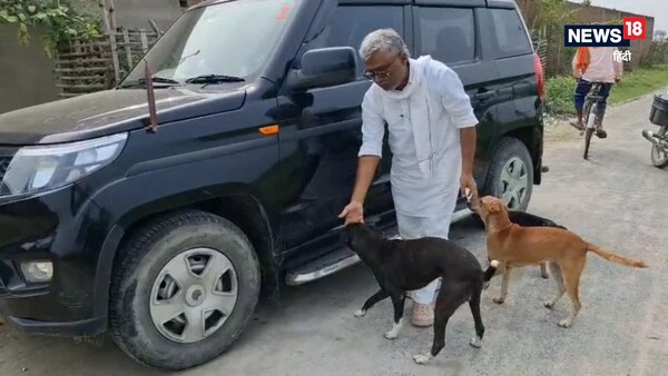 मोतिहारी के डॉक्टर ने पेश की मिसाल, 10 साल से बचा रहे बेसहारा कुत्तों