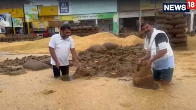 पंजाब के फाजिल्का में रातभर हुई बारिश ने किसानों की मेहनत पर पानी फेर दिया.