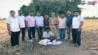 राजस्थान में नशे के खिलाफ बड़ा एक्शन