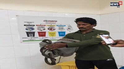 न्यू मेडिकल कॉलेज अस्पताल की इमरजेंसी OT में घुसा 7 फीट लंबा सांप