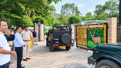 पन्ना टाइगर रिजर्व के खुले गेट, पर्यटकों में दिखा उत्साह