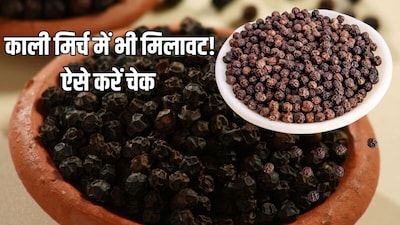 Check Adulterated Black Pepper Using 5 Easy Methods