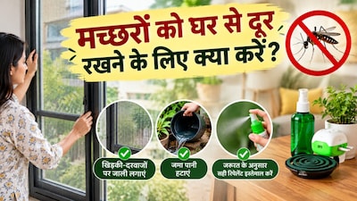 मच्छर घर में ना आएं, अपनाएं ये आसान तरीके (इमेज AI)