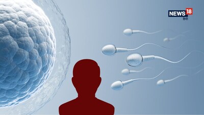 क्‍या दुनियाभर के मर्दों को करनी चाहिए घटते स्‍पर्म काउंट की चिंता?