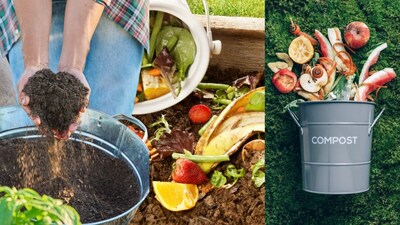 Make Organic Garden Fertilizer At Home Using Kitchen Waste