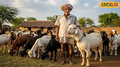 How Rajaram transformed his life through goat farming in Sultanpur.