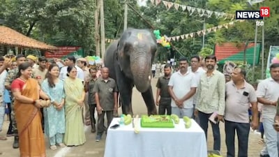 सरायकेला में हाथी का बर्थडे मनाया गया.