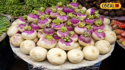 Boost Your Farm Income With Profitable Turnip Cultivation