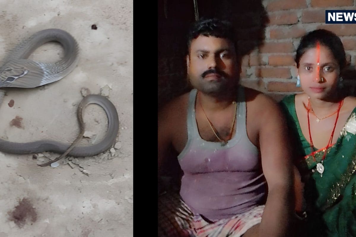 पति-पत्नी के बिस्तर में घुस गया जहरीला सांप, डसने से युवक की तुरंत मौत, महिला ने भी तोड़ा दम