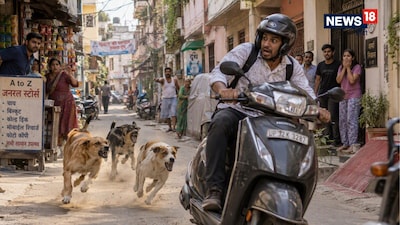सड़क पर चलती हुई गाड़‍ियों के पीछे अचानक क्‍यों दौड़ते हैं कुत्ते? (फोटो साभार AI)
