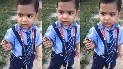 Viral video of child eating paratha and rushing for school van wins hearts
