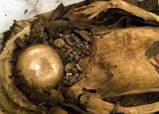 Fashionable mummy found in Peru