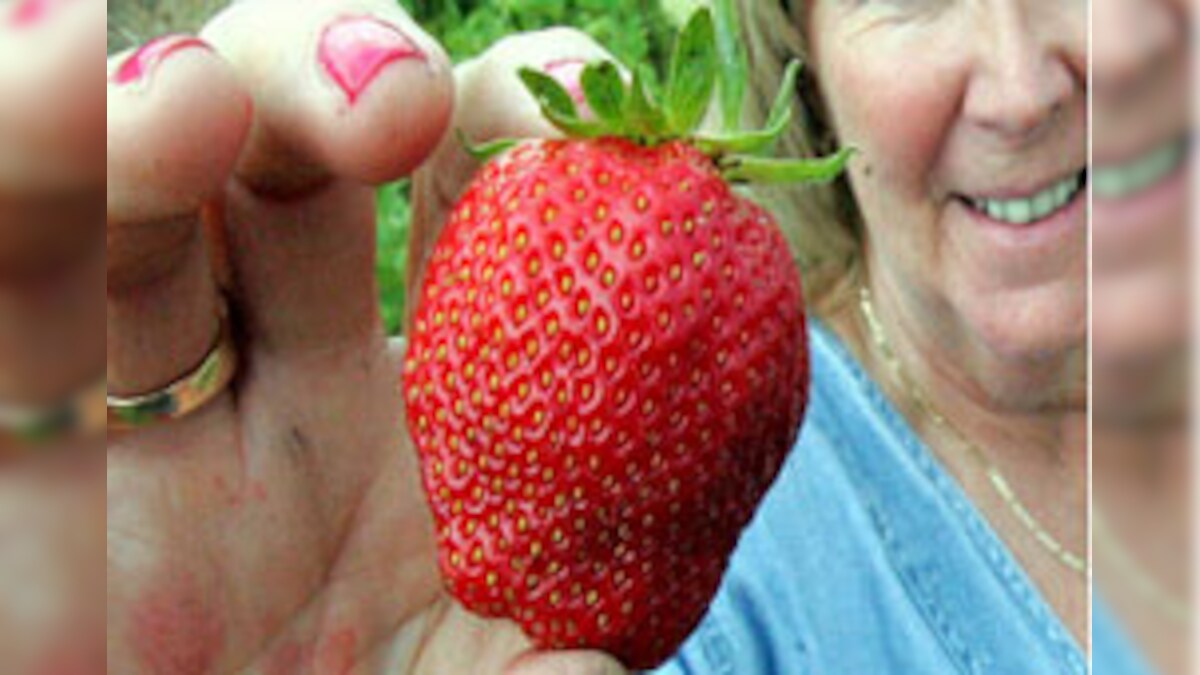 Teenagers hit by soap opera virus News18