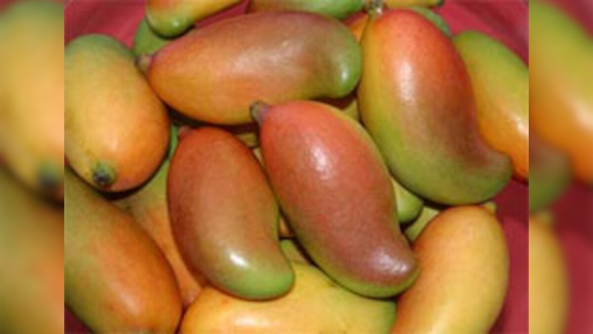 Japan lifts ban on Indian mangoes