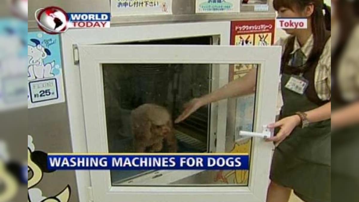 DogOMatic A washing machine for canines