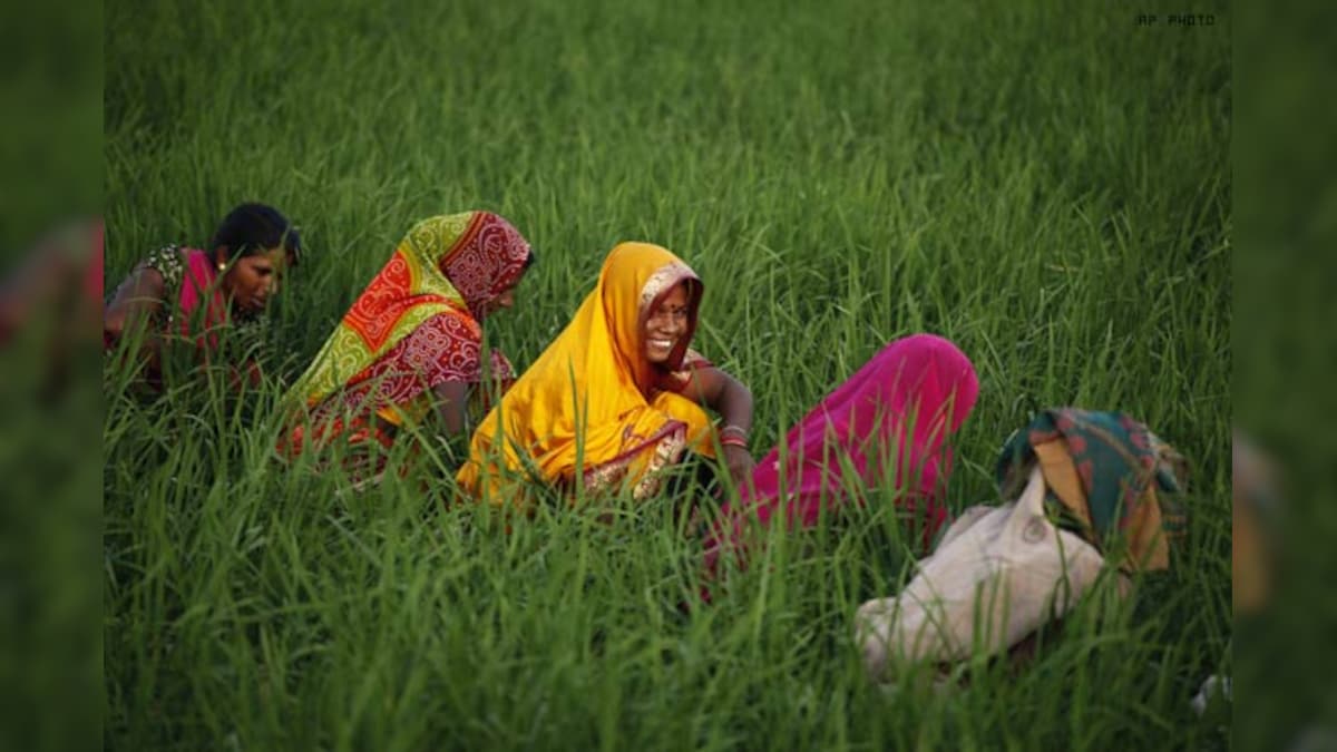 Scientists create rice variety for water-logged areas - News18