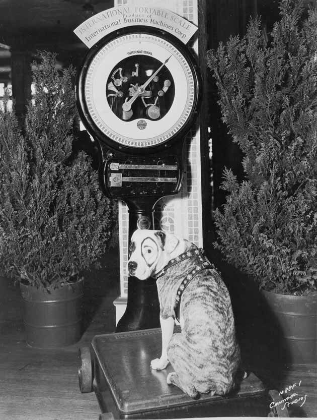 100 years of IBM The innovations News18