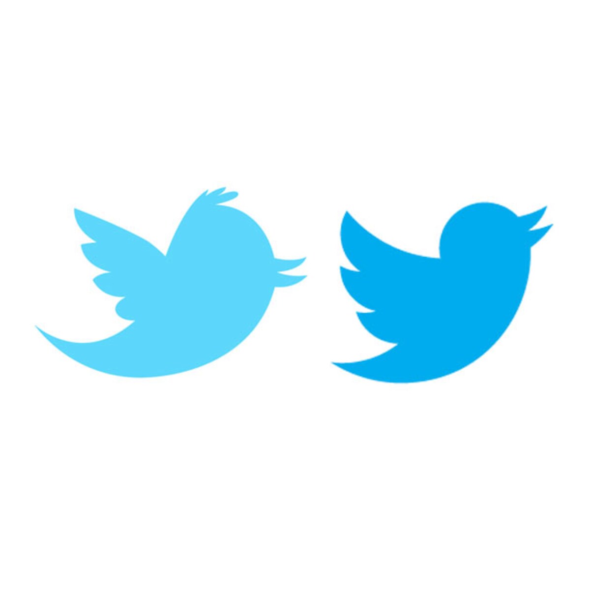 Twitter unveils its new bird logo