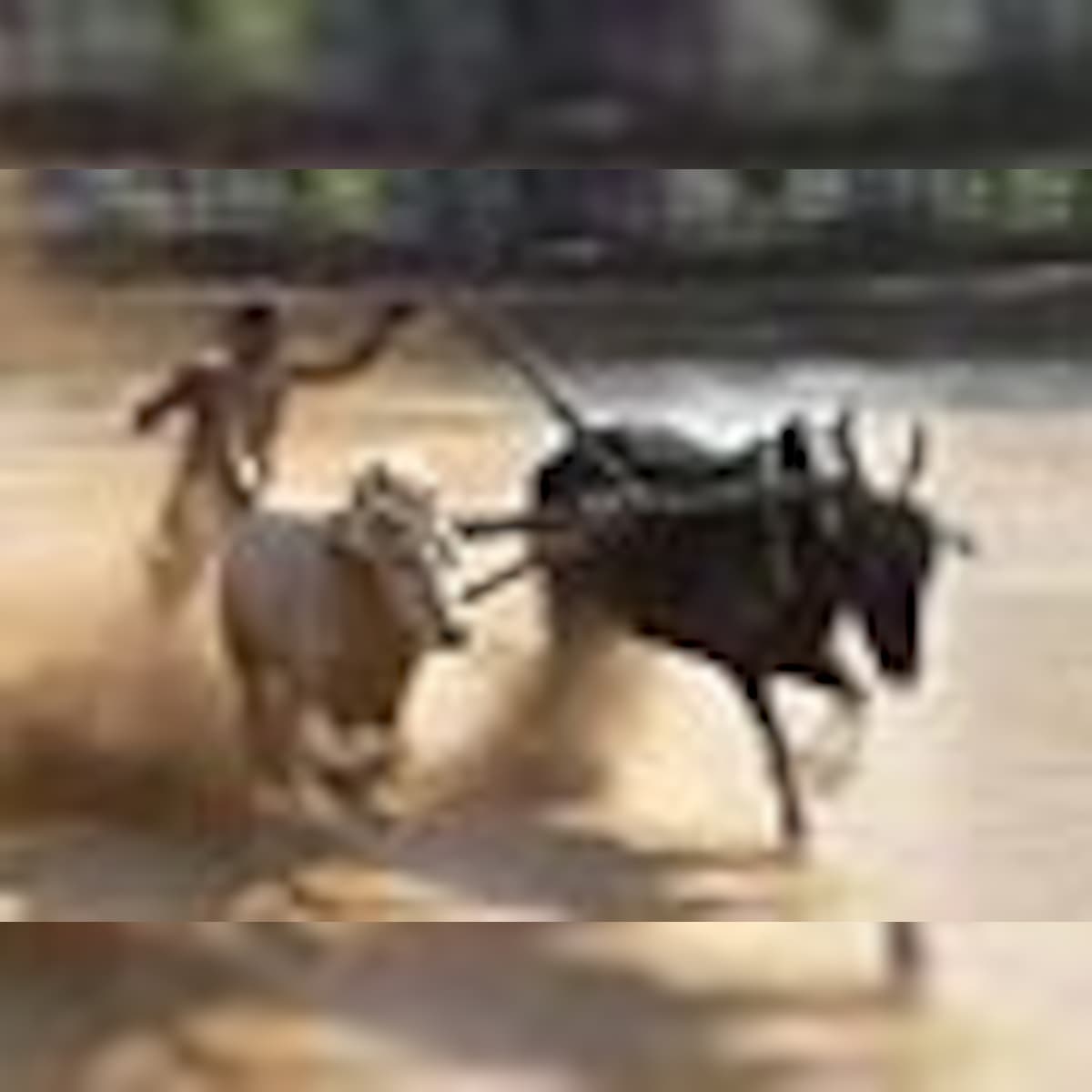 CS Mains Syllabus: Animal Husbandry and Veterinary Science CS Mains Syllabus: Animal Husbandry and Veterinary Science
