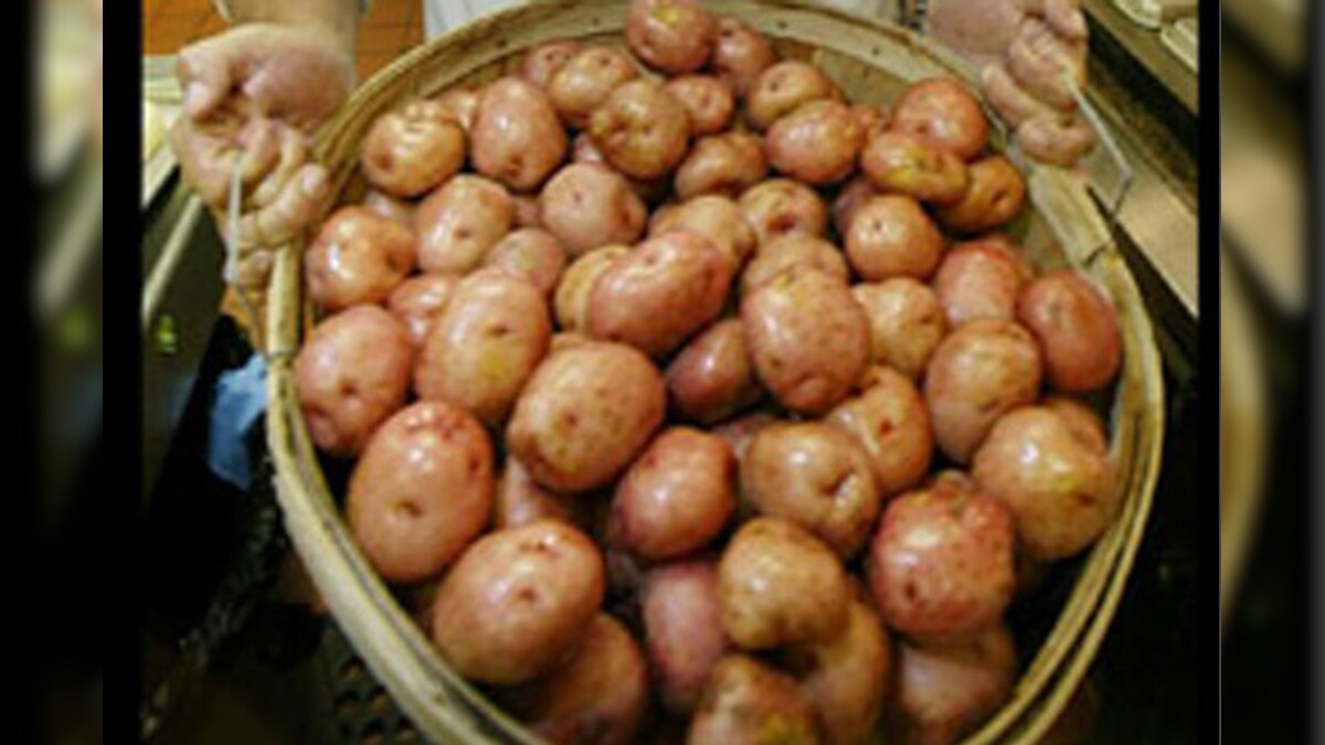 Bihar potato farmer sets new world record News18